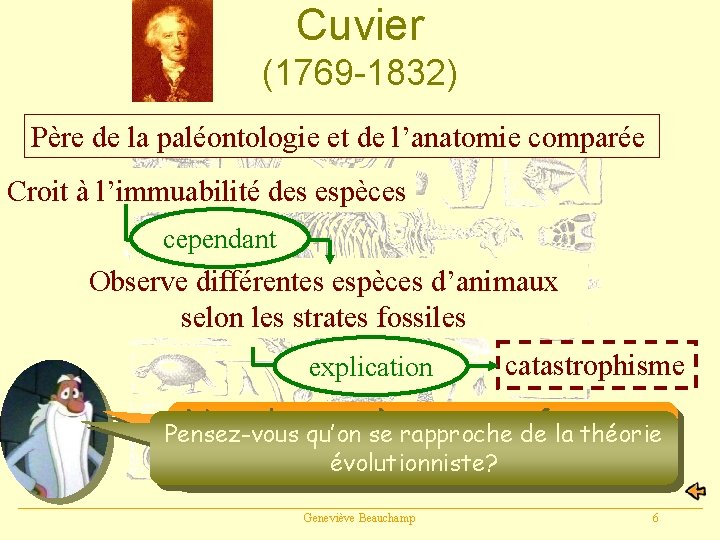 Cuvier (1769 -1832) Père de la paléontologie et de l’anatomie comparée Croit à l’immuabilité