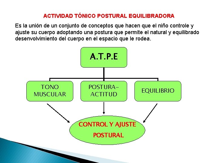 ACTIVIDAD TÓNICO POSTURAL EQUILIBRADORA Es la unión de un conjunto de conceptos que hacen