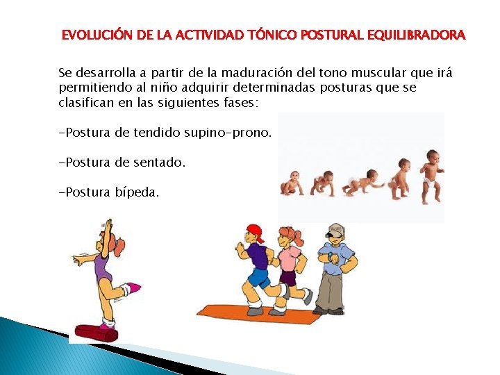 EVOLUCIÓN DE LA ACTIVIDAD TÓNICO POSTURAL EQUILIBRADORA Se desarrolla a partir de la maduración