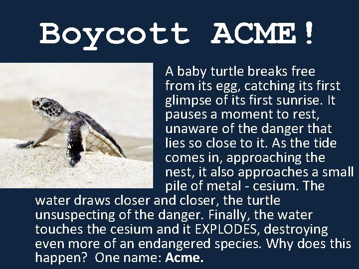 Boycott ACME! A baby turtle breaks free from its egg, catching its first glimpse