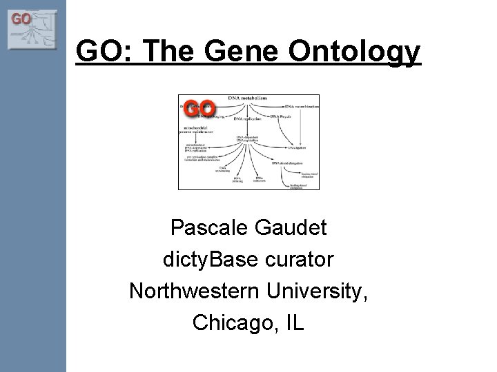 GO: The Gene Ontology Pascale Gaudet dicty. Base curator Northwestern University, Chicago, IL 