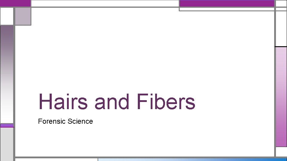 Hairs and Fibers Forensic Science 