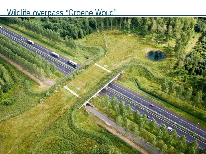 Wildlife overpass “Groene Woud” 