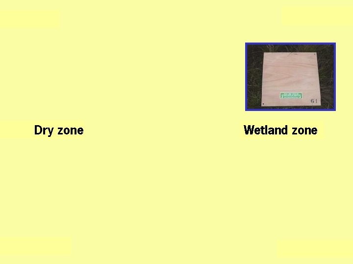 Dry zone Wetland zone 