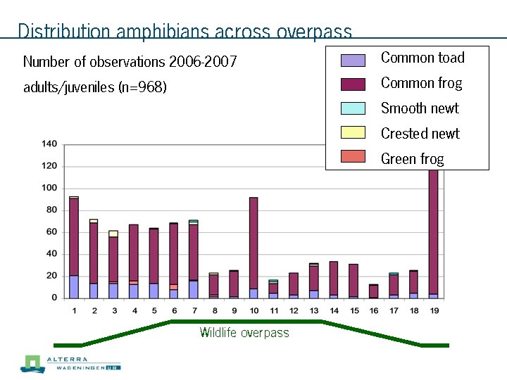 Distribution amphibians across overpass Number of observations 2006 -2007 Common toad adults/juveniles (n=968) Common