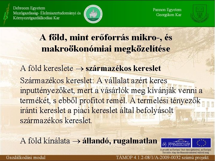 A föld, mint erőforrás mikro-, és makroökonómiai megközelítése A föld kereslete származékos kereslet Származékos