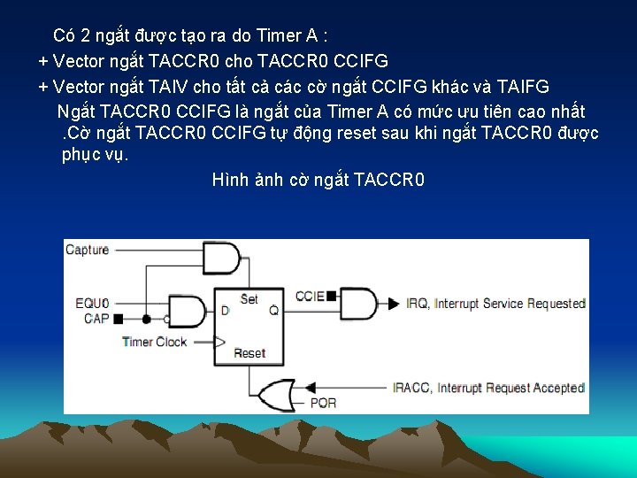 Có 2 ngắt được tạo ra do Timer A : + Vector ngắt TACCR