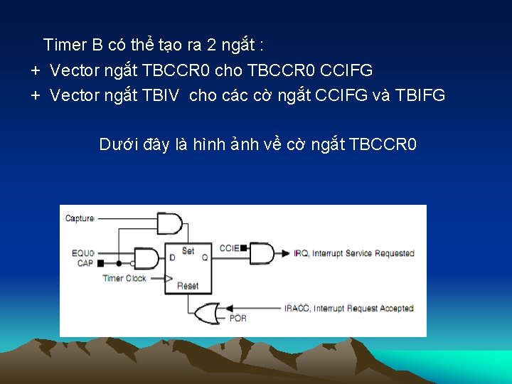 Timer B có thể tạo ra 2 ngắt : + Vector ngắt TBCCR 0