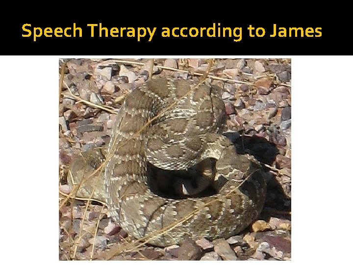 Speech Therapy according to James 