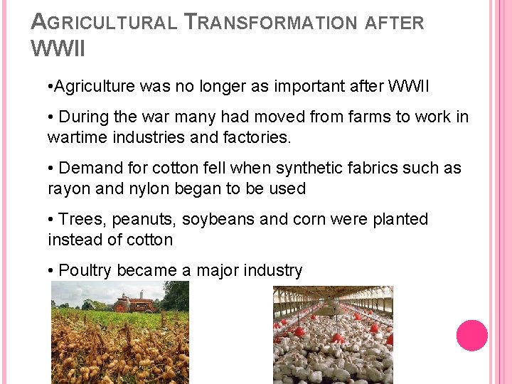 AGRICULTURAL TRANSFORMATION AFTER WWII • Agriculture was no longer as important after WWII •