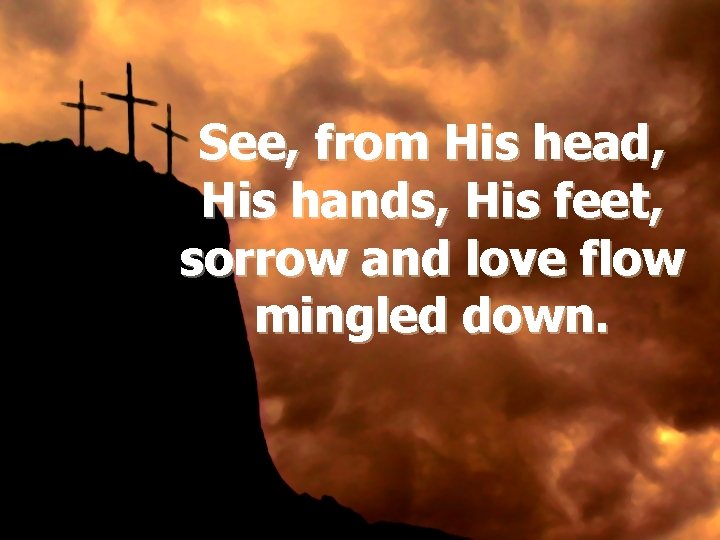 See, from His head, His hands, His feet, sorrow and love flow mingled down.