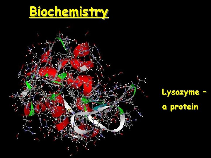 Biochemistry Lysozyme – a protein 