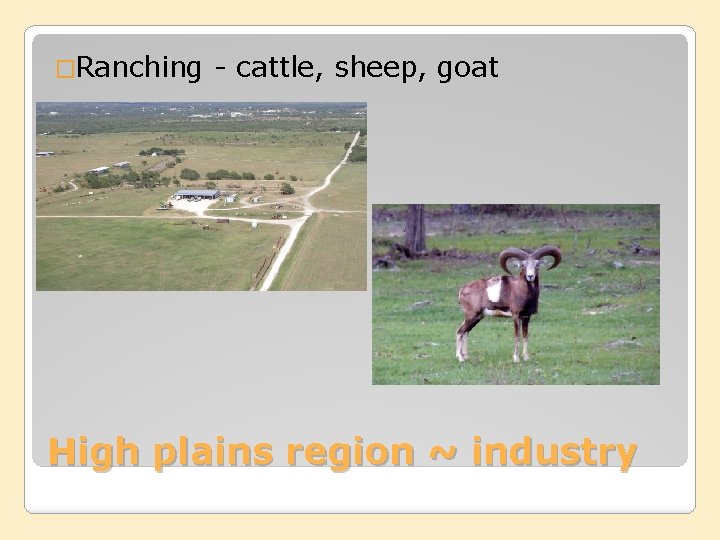 �Ranching - cattle, sheep, goat High plains region ~ industry 