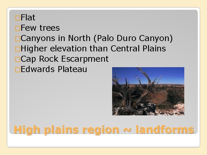�Flat �Few trees �Canyons in North (Palo Duro Canyon) �Higher elevation than Central Plains