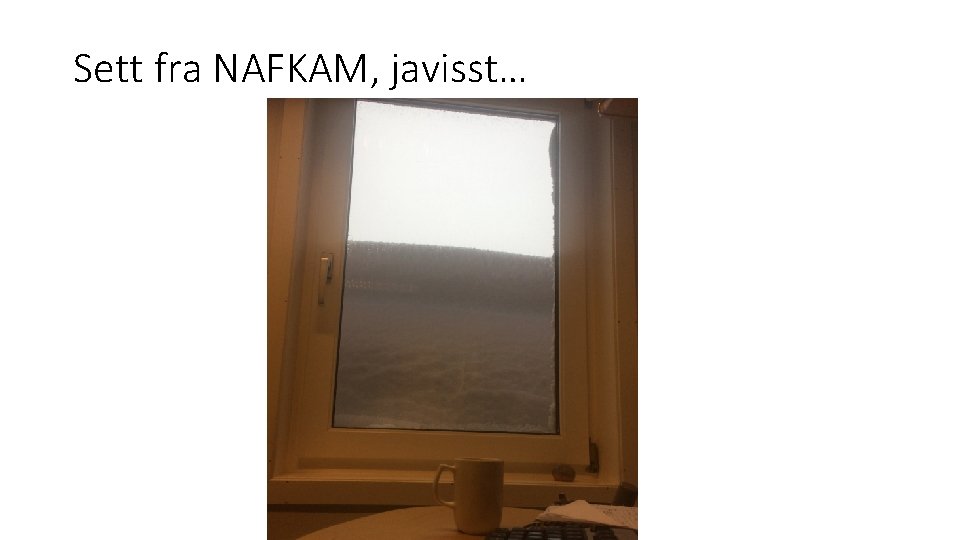 Sett fra NAFKAM, javisst… 