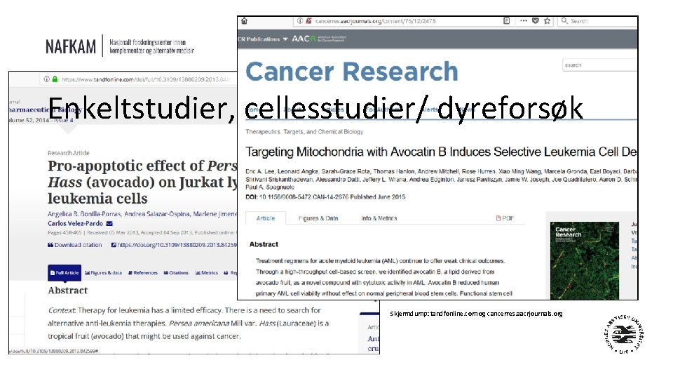 Enkeltstudier, cellesstudier/ dyreforsøk Skjermdump: tandfonline. com og cancerres. aacrjournals. org 