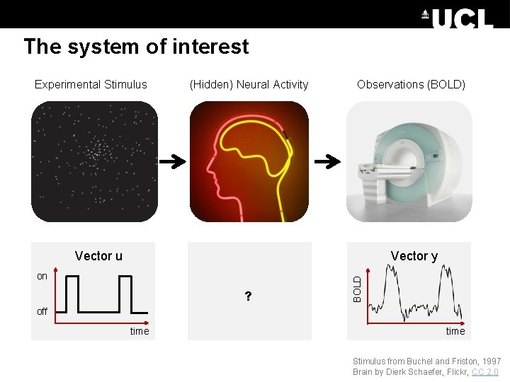 The system of interest Experimental Stimulus (Hidden) Neural Activity Observations (BOLD) Vector y on