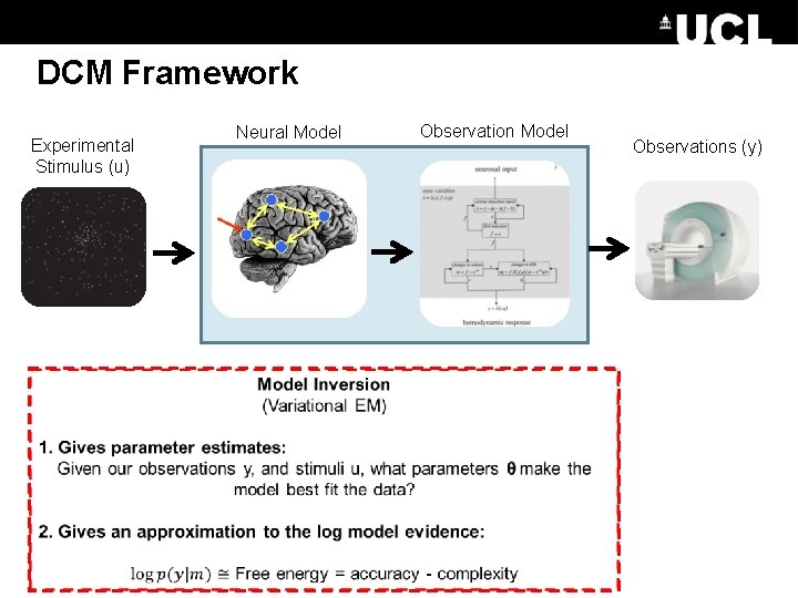 DCM Framework Experimental Stimulus (u) Neural Model Observations (y) 