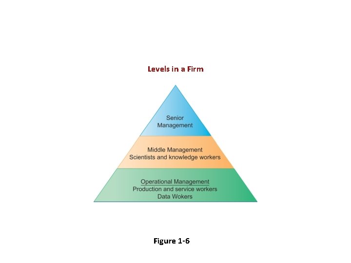 Levels in a Firm Figure 1 -6 