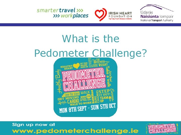 What is the Pedometer Challenge? 