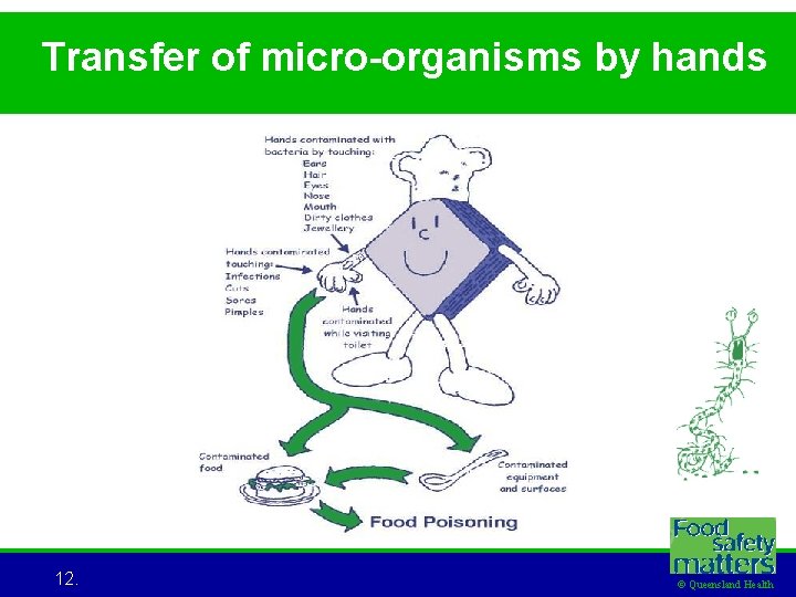 Transfer of micro-organisms by hands 12. © Queensland Health 