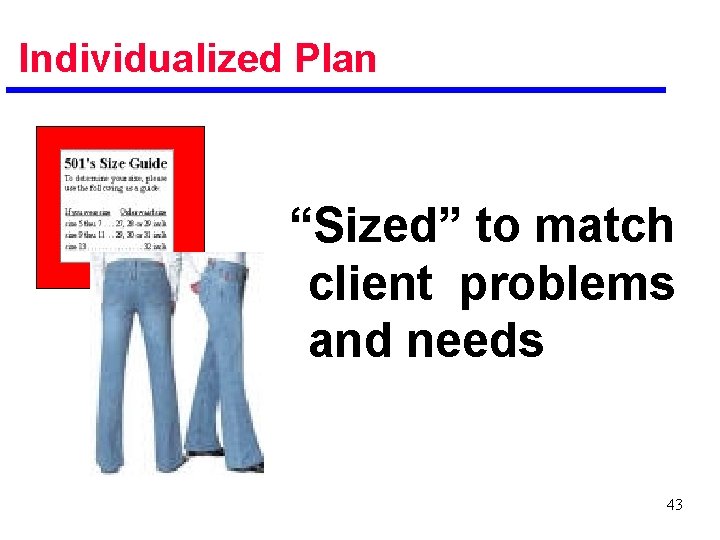 Individualized Plan “Sized” to match client problems and needs 43 