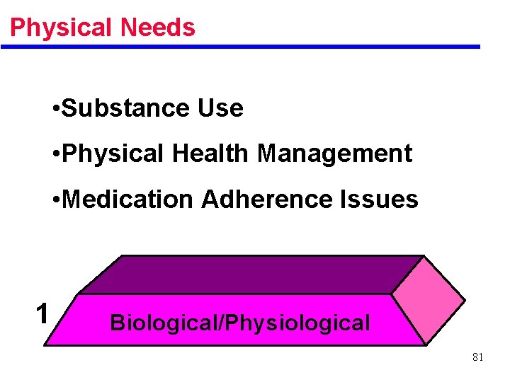 Physical Needs • Substance Use • Physical Health Management • Medication Adherence Issues 1