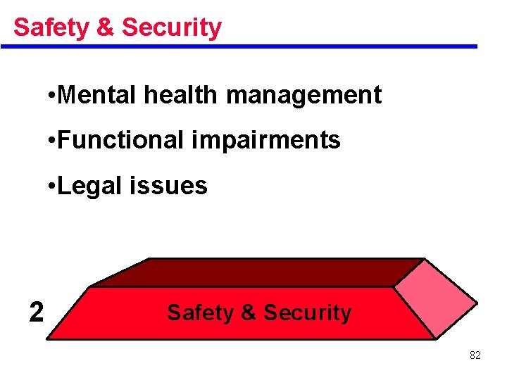 Safety & Security • Mental health management • Functional impairments • Legal issues 2