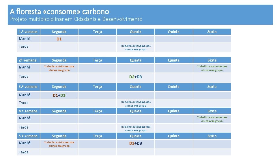 A floresta «consome» carbono Projeto multidisciplinar em Cidadania e Desenvolvimento 1. ª semana Manhã