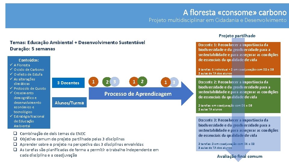 A floresta «consome» carbono Projeto multidisciplinar em Cidadania e Desenvolvimento Projeto partilhado Temas: Educação