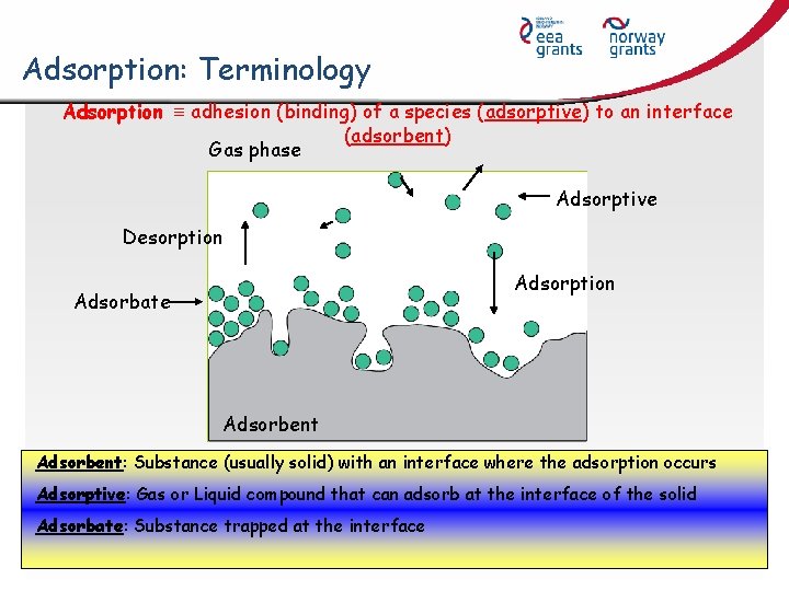 Adsorption: Terminology Adsorption adhesion (binding) of a species (adsorptive) to an interface (adsorbent) Gas