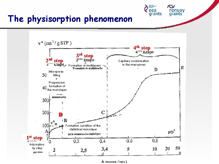 The physisorption phenomenon 4 th step 3 rd step 2 nd step Formation of