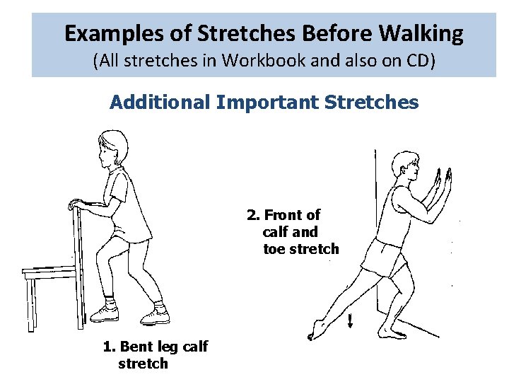 Examples of Stretches Before Walking (All stretches in Workbook and also on CD) Additional Examples of Stretches Before Walking (All stretches in Workbook and also on CD) Additional