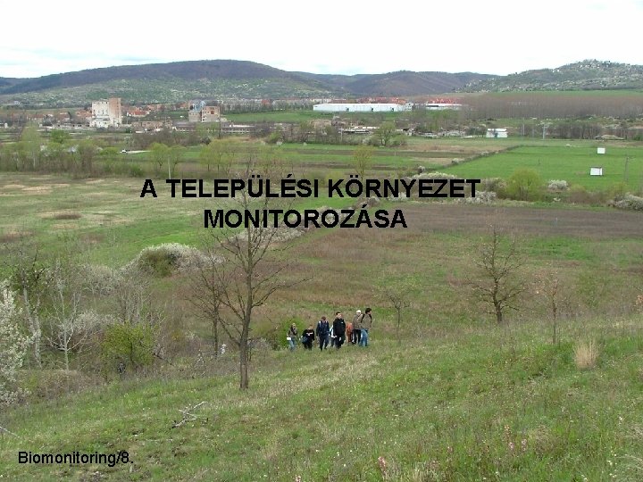 A TELEPÜLÉSI KÖRNYEZET MONITOROZÁSA Biomonitoring/8. 