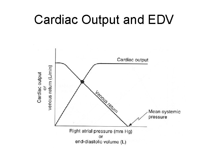Cardiac Output and EDV 