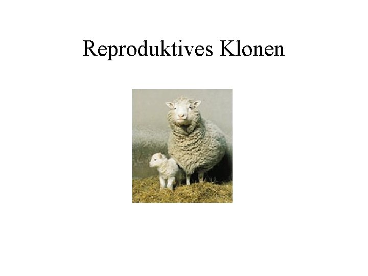 Reproduktives Klonen 