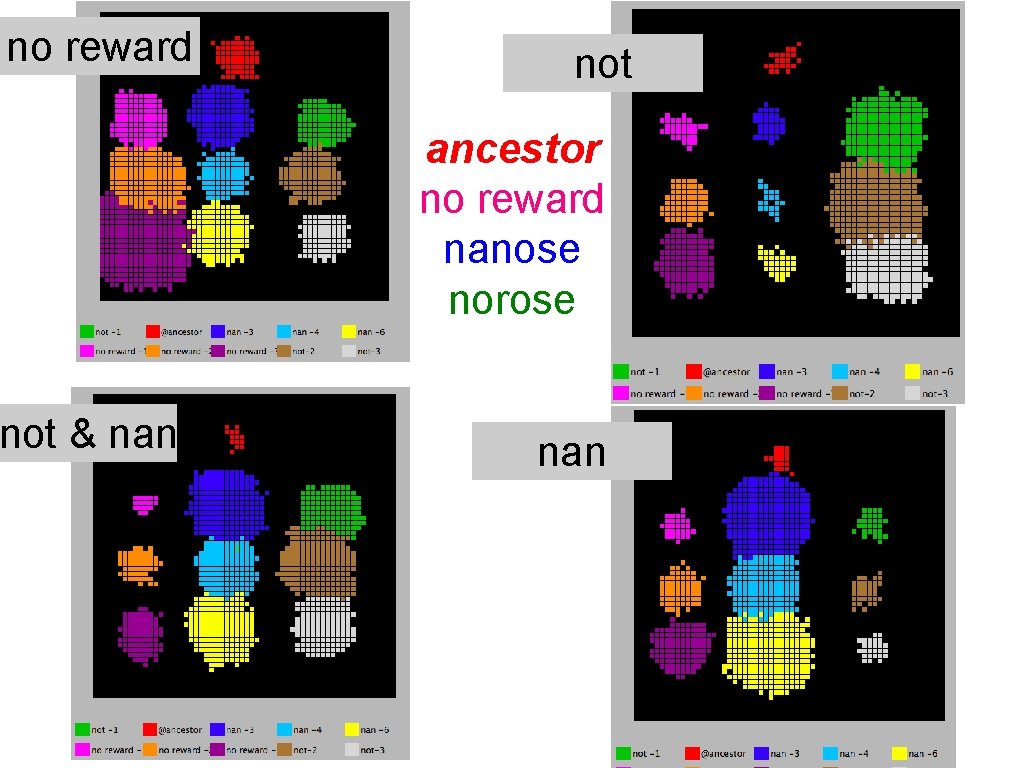 no reward not & nan not ancestor no reward nanose norose nan 