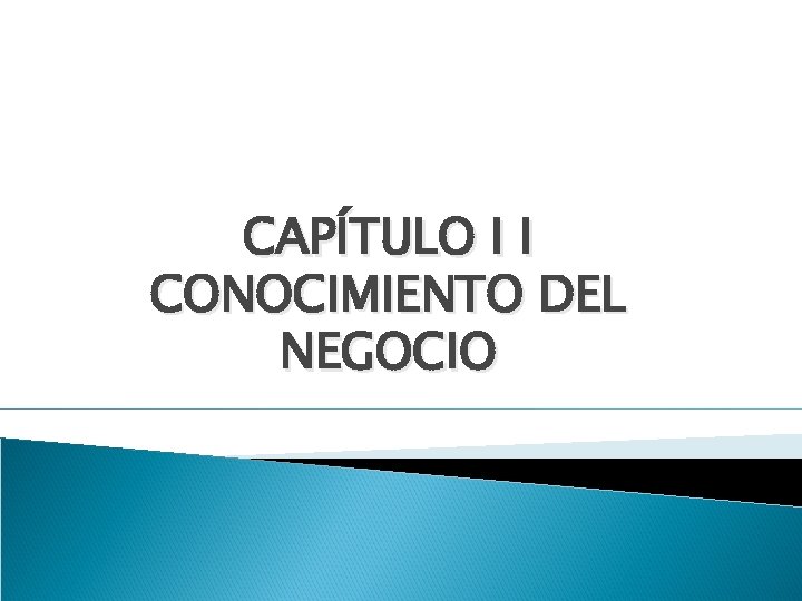 CAPÍTULO I I CONOCIMIENTO DEL NEGOCIO 