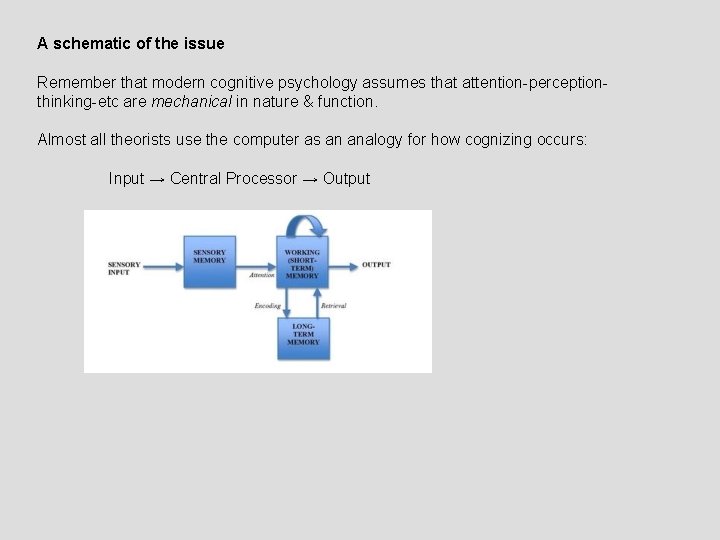 A schematic of the issue Remember that modern cognitive psychology assumes that attention-perceptionthinking-etc are