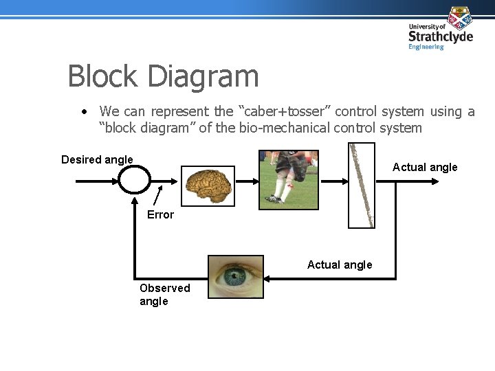 Block Diagram • We can represent the “caber+tosser” control system using a “block diagram”