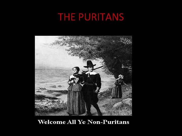 THE PURITANS 