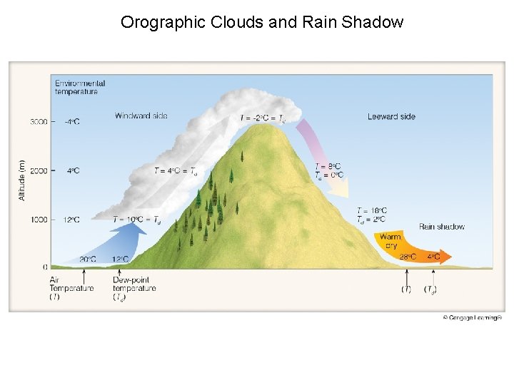 Orographic Clouds and Rain Shadow 