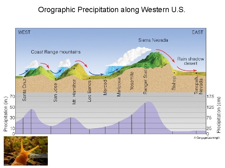 Orographic Precipitation along Western U. S. 