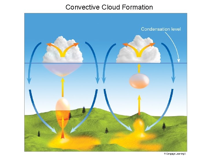 Convective Cloud Formation 