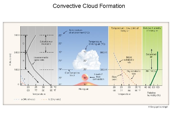 Convective Cloud Formation 
