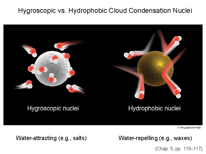Hygroscopic vs. Hydrophobic Cloud Condensation Nuclei Water-attracting (e. g. , salts) Water-repelling (e. g.