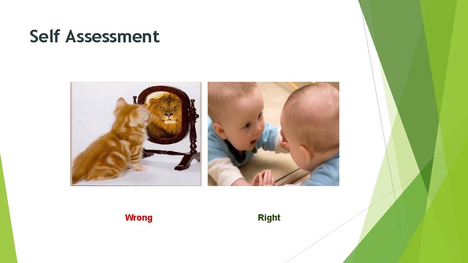 Self Assessment Wrong Right 