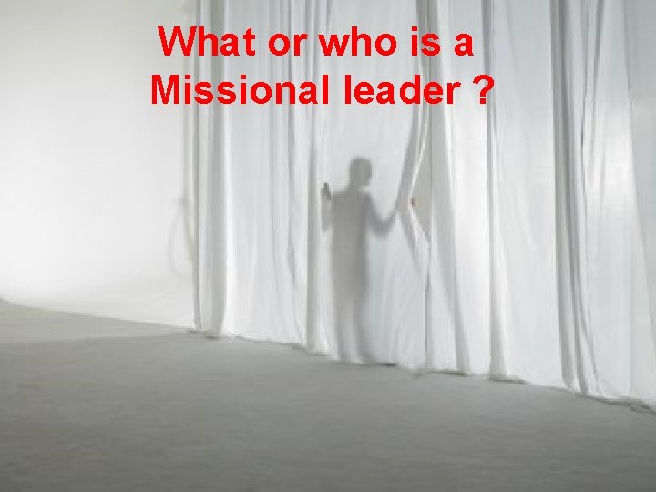 What or who is a Missional leader ? 