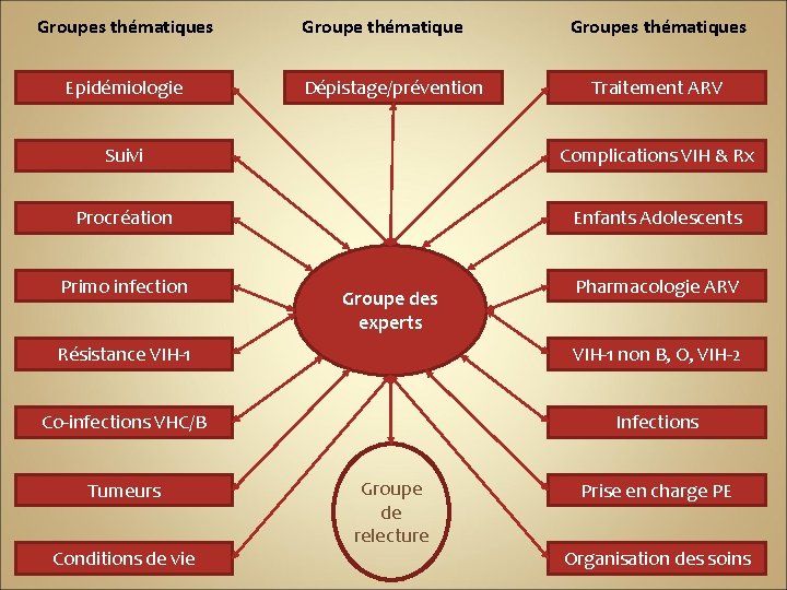 Groupes thématiques Epidémiologie Groupe thématique Dépistage/prévention Groupes thématiques Traitement ARV Suivi Complications VIH &