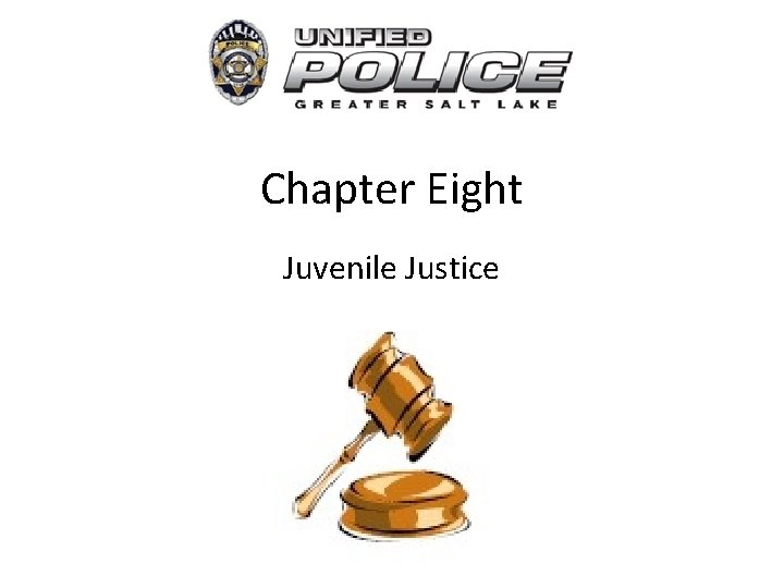 Chapter Eight Juvenile Justice 